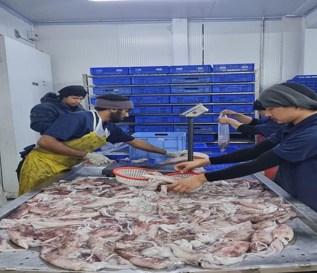Kitchen Staff
